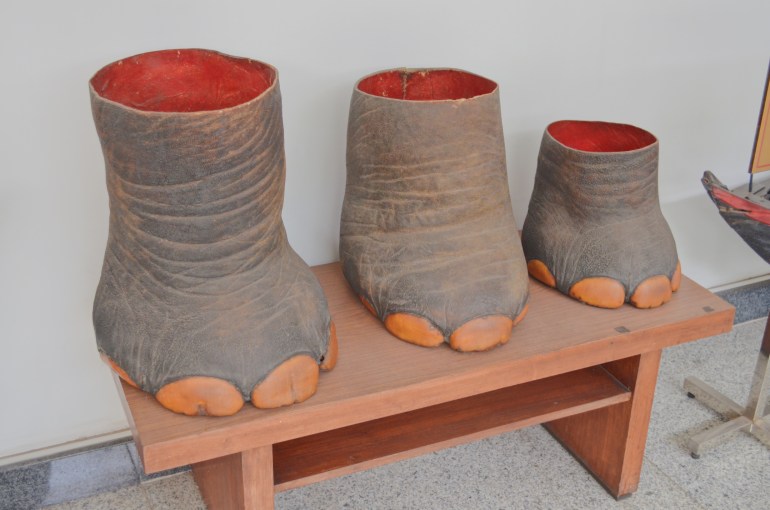 4B8B65E2-0E41-4D1B-B1E1-2131E299F53C